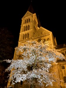 spring in Roermond