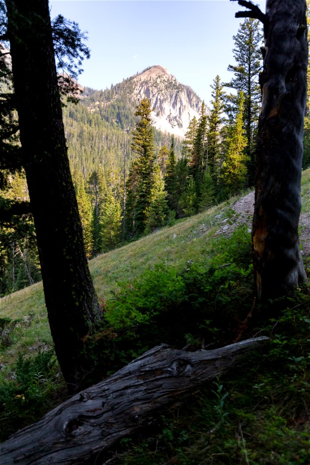 Custer-Gallatin National Forest, Knox Lake Trail: morning views
