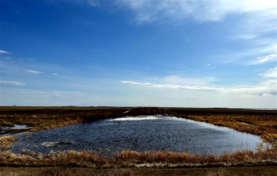 Latham Lake