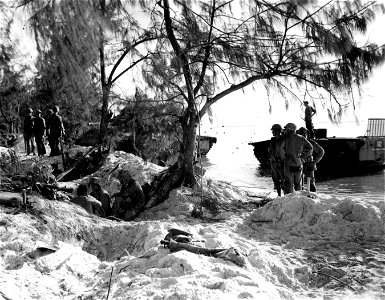 Marines dug in along Green Beach 2.