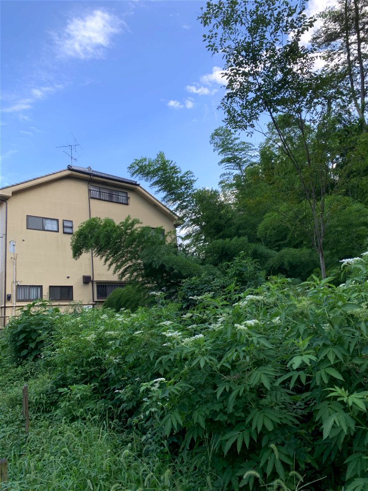 Minamisawa in Higashikurume-shi