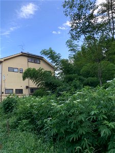Minamisawa in Higashikurume-shi