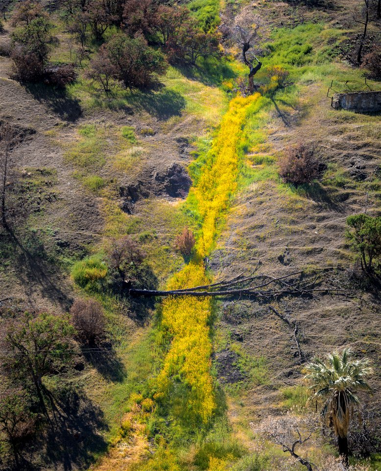 Coalinga Mineral Springs