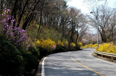 Taejosan Mountain