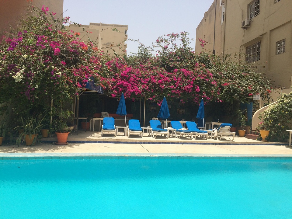 Bougbougainvilleas swimming pool flower pot