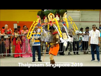 22Jan2019 - video: thaipusam - devotees performing while carry kavadis