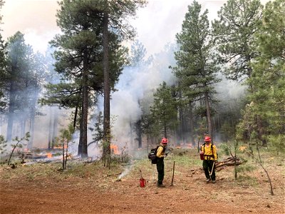 Burnout operations on Mooney Mountain, Volunteer Fire 6/2/23. photo