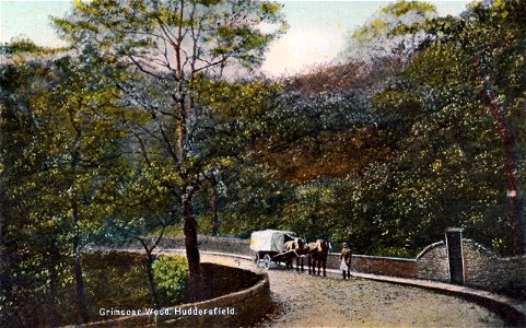 Grimscar Woods, Huddersfield photo