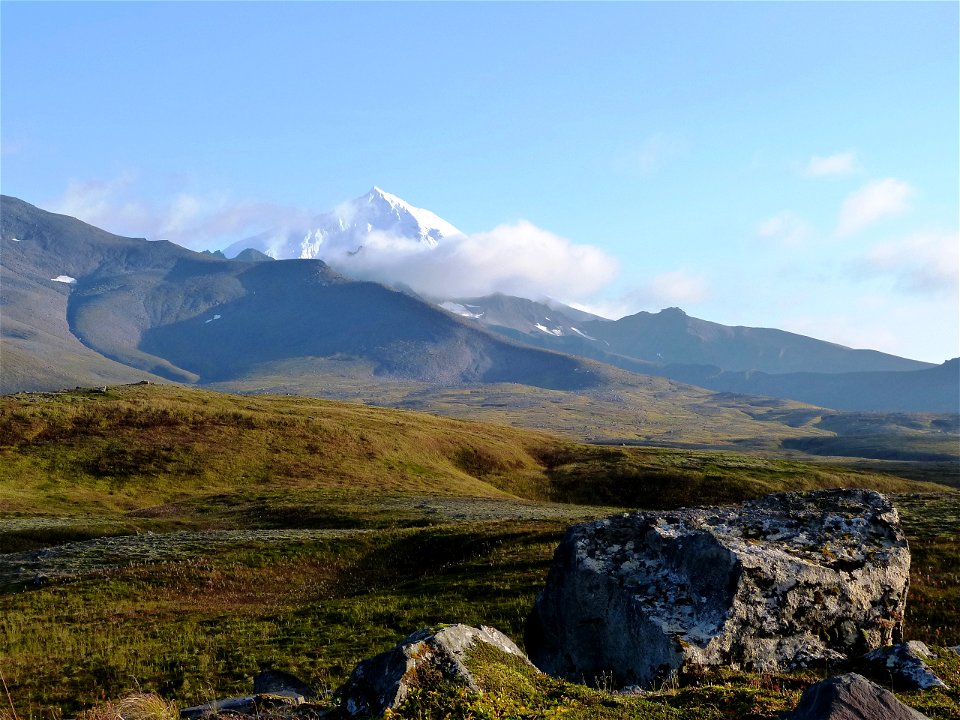 Fall colors in Izembek wilderness