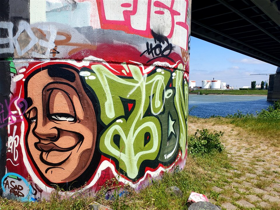 Neuss Hammer Eisenbahnbrücke