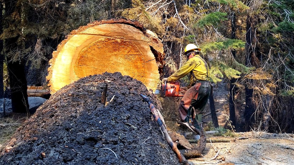 Bucking, Windy Fire photo