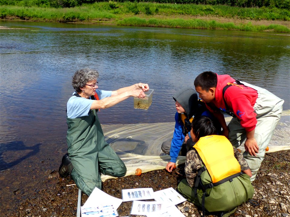 Seining for juvenile fish_07-13-2015_KSowl (12)