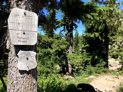 20210715-FS-Mt Hood-Mt Hood Wilderness sign along Pacific Crest Trail - 01 photo