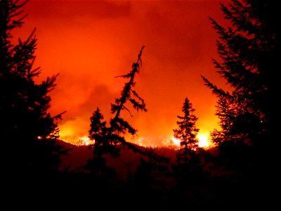 cla-rattle-fire2008-_67jpg_49385729027_o