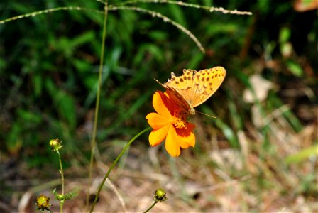 Teajosan Mountain Hiking photo