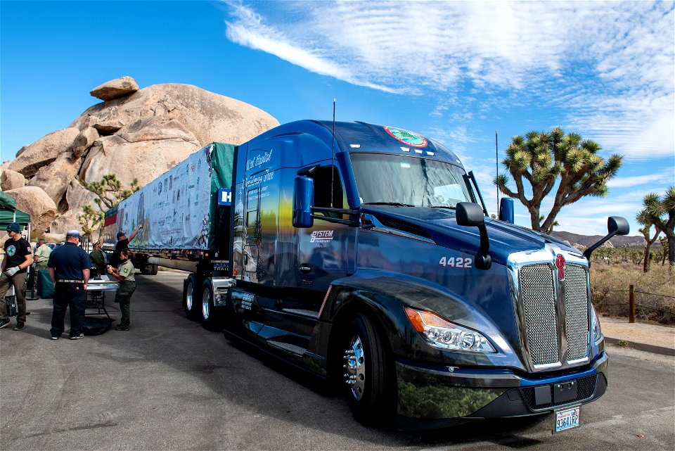 The National Christmas Tree Event at Cap Rock