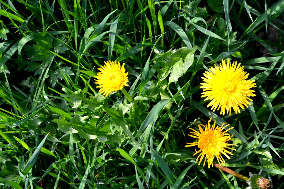 Spring ,April 2023
