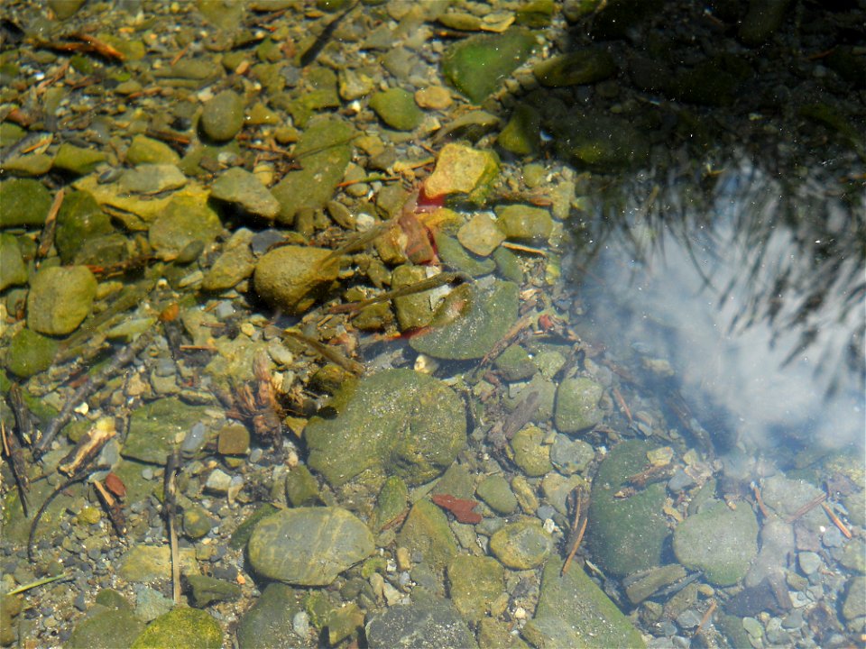 Just Below the Surface