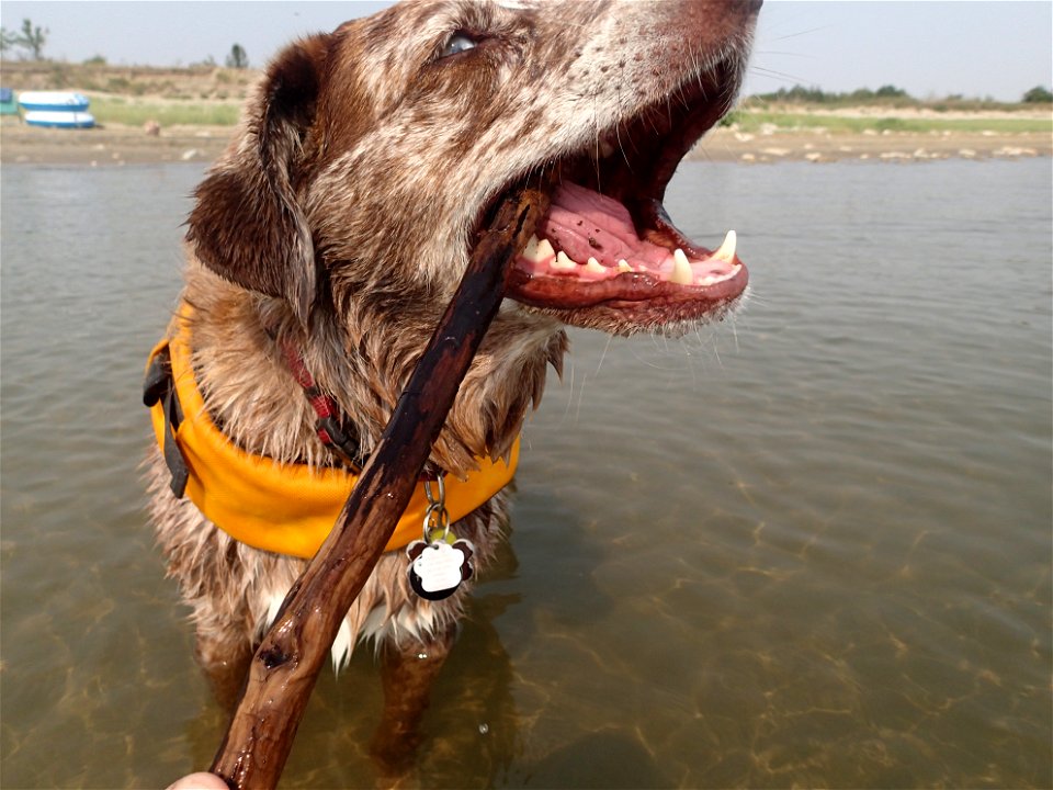 Felix and Stick (2/3)
