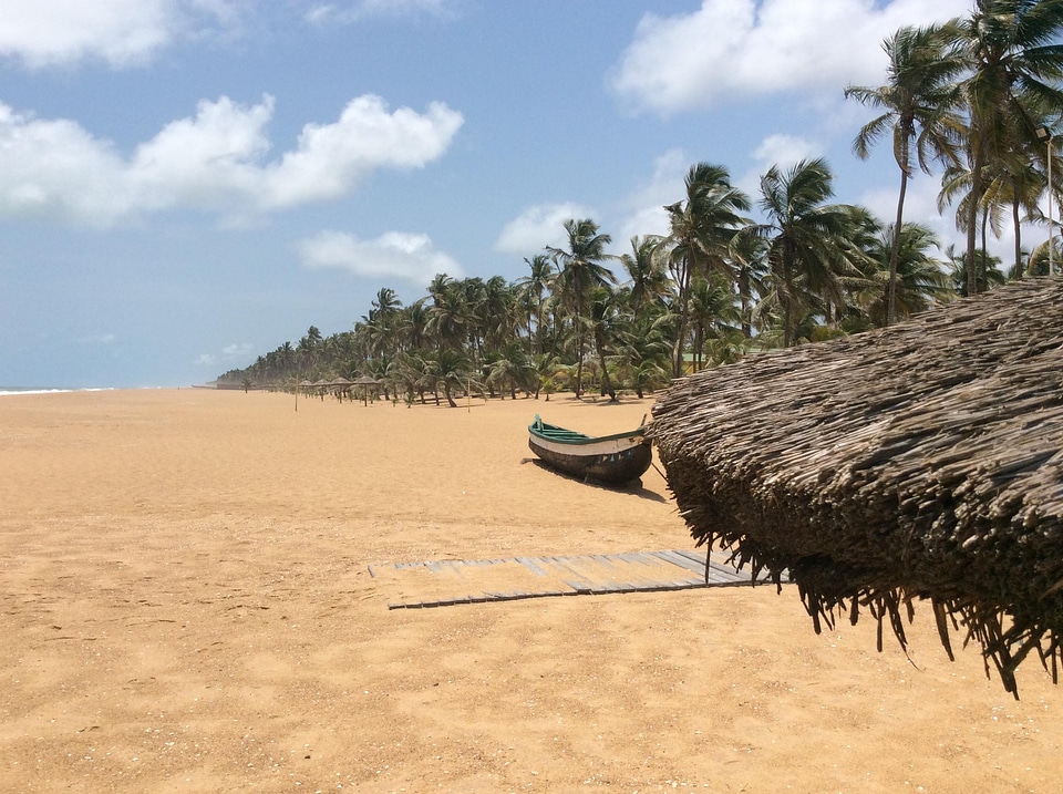 Landscape Palm Beach