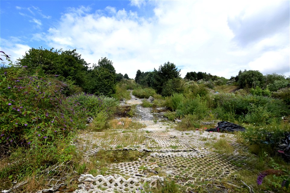 DSC_0722 (2)