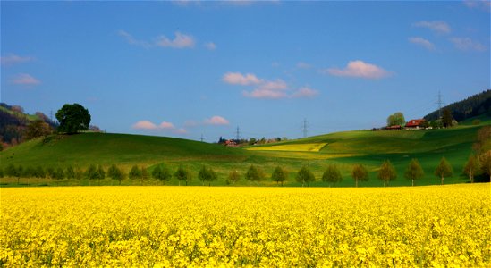 DSC09371
