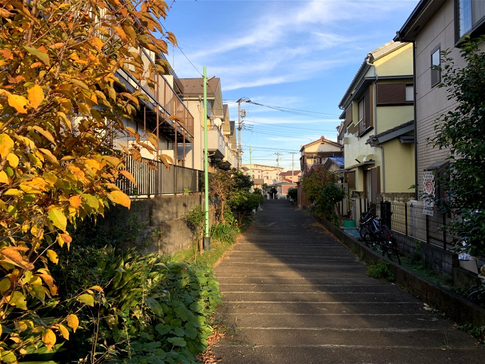 Saiwaicho in Higashikurume-shi in November