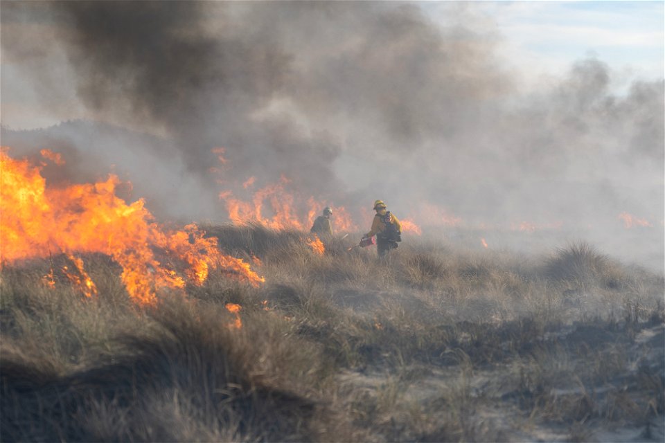 Siuslaw Oregon Dunes Prescribed Burn 2022 photo