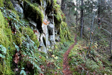 img_2227_trail31jpg_49364728917_o