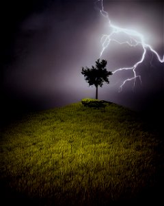 'A Lone Tree on a Hill' photo