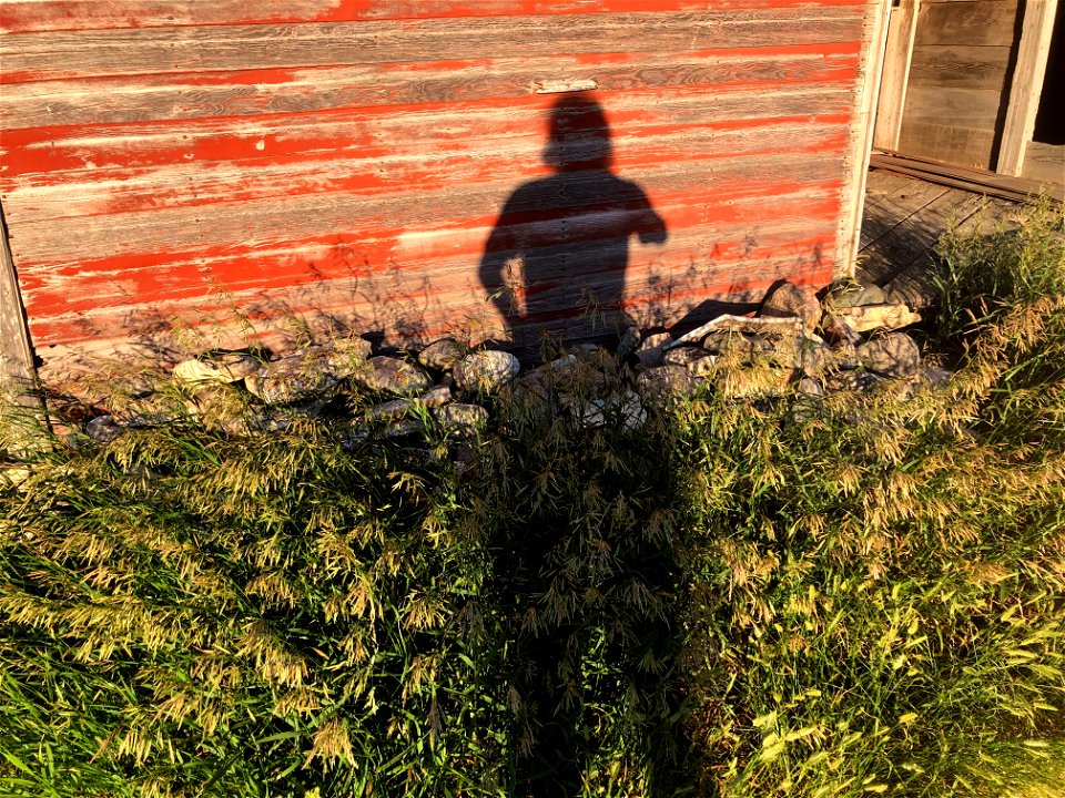 Barn Selfie