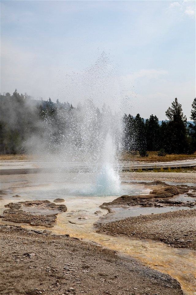 Sawmill Geyser eruption