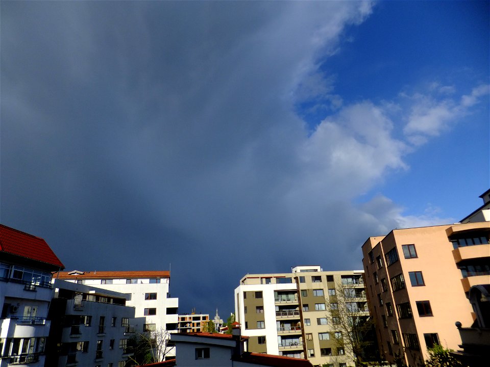 nori-sediuNCramfil2015_0422_081408