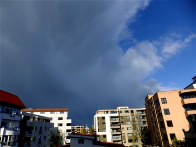 nori-sediuNCramfil2015_0422_081408