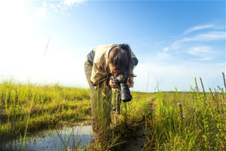 Everglades Intern photo