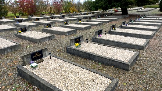 Cimetière du Camp du Vernet : Juan Llena Palomera