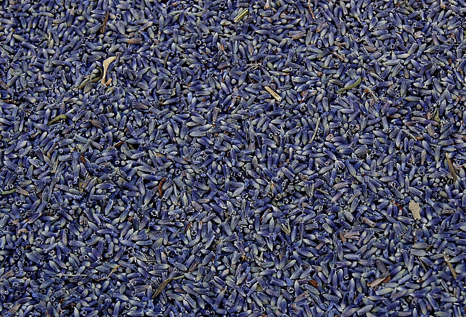 Herbal natural flower