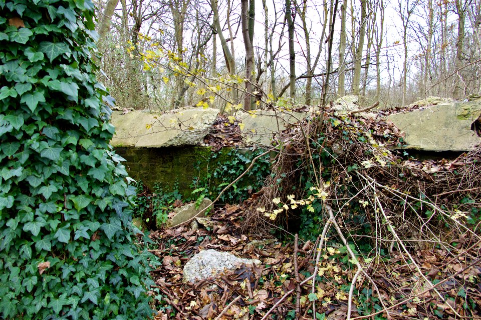 Hidden Pill Box. Ivy