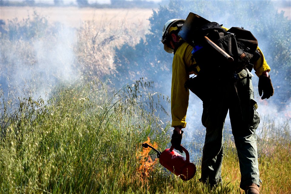 BLM’s Folsom Lake Veterans Crew perform RX Burn at Cosumnes River Preserve restoring critical habitat.