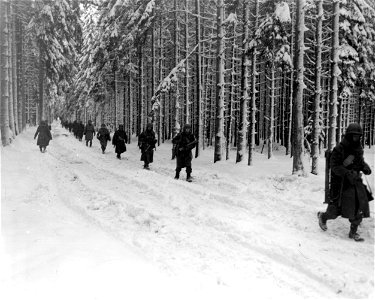 SC 199057-S - 75th Division infantrymen move forward to advance positions in the Belgian woods near St. Vith.