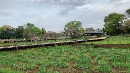 Kitayama Park in Higashimurayama-shi photo