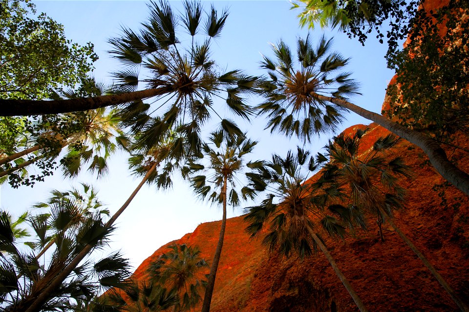 Walk into Echidna Gorge