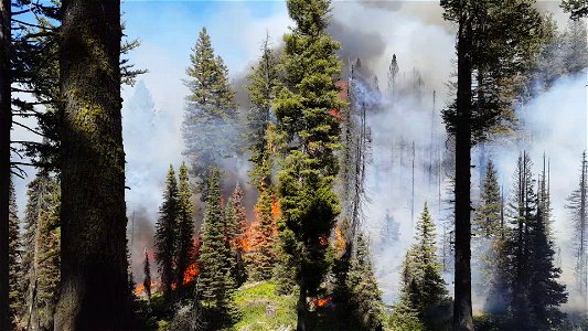 Pioneer Fire, Boise National Forest photo