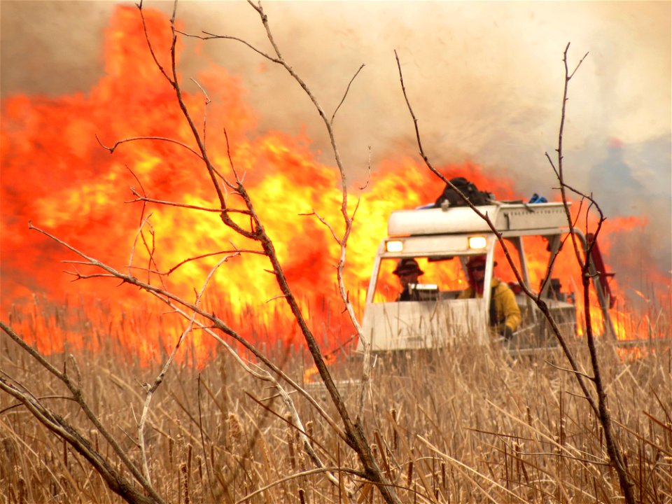 Marsh Master ignitions