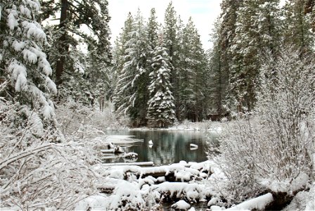 Lake Creek in snow, Oregon photo