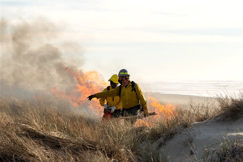 Siuslaw Oregon Dunes Prescribed Burn 2022