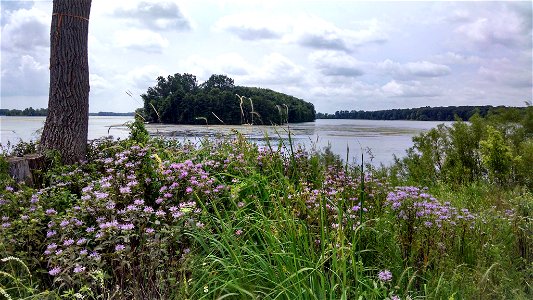 Humbug Island on the Detroit River photo