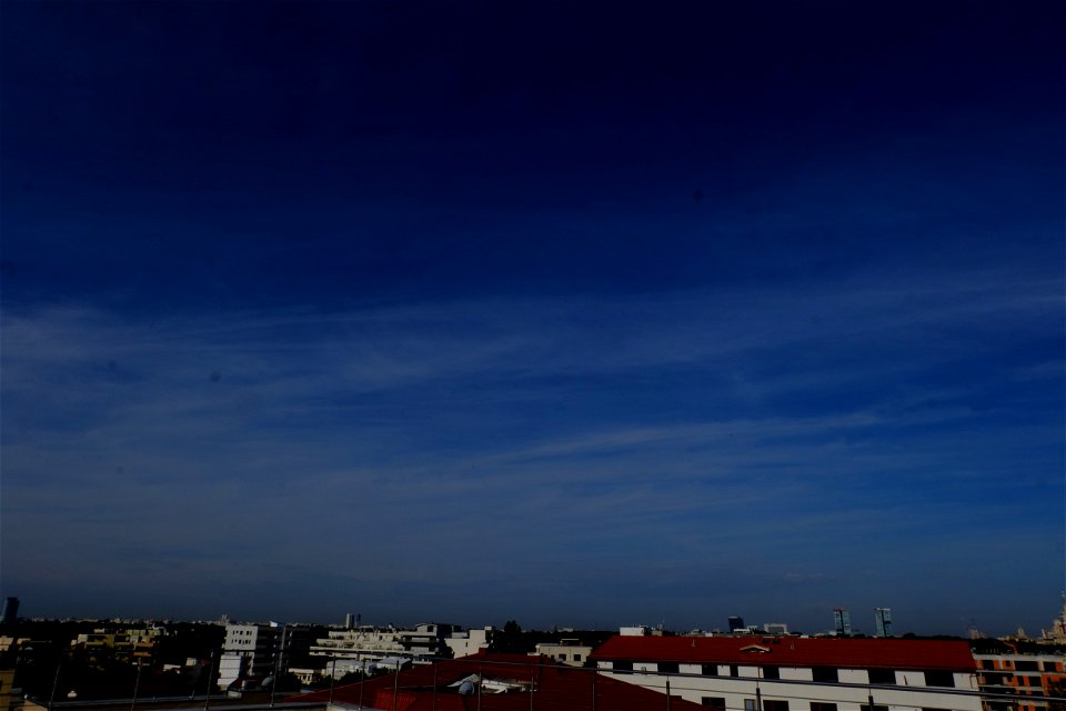 nori-sediu2015_0610_081915(1)