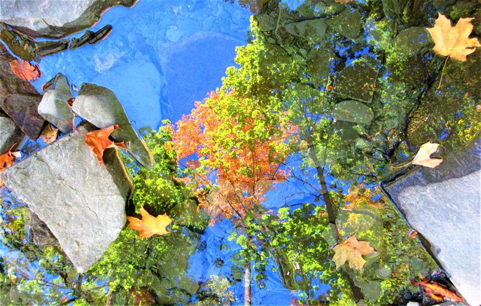 fall reflection 2