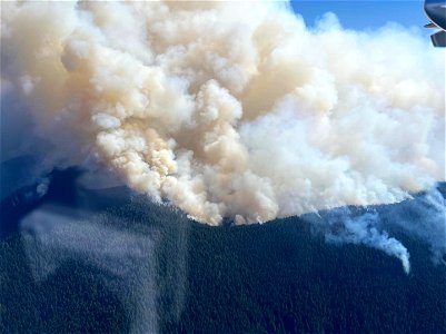 West flank of Cedar Creek Fire Willamette National Forest Oregon 080722